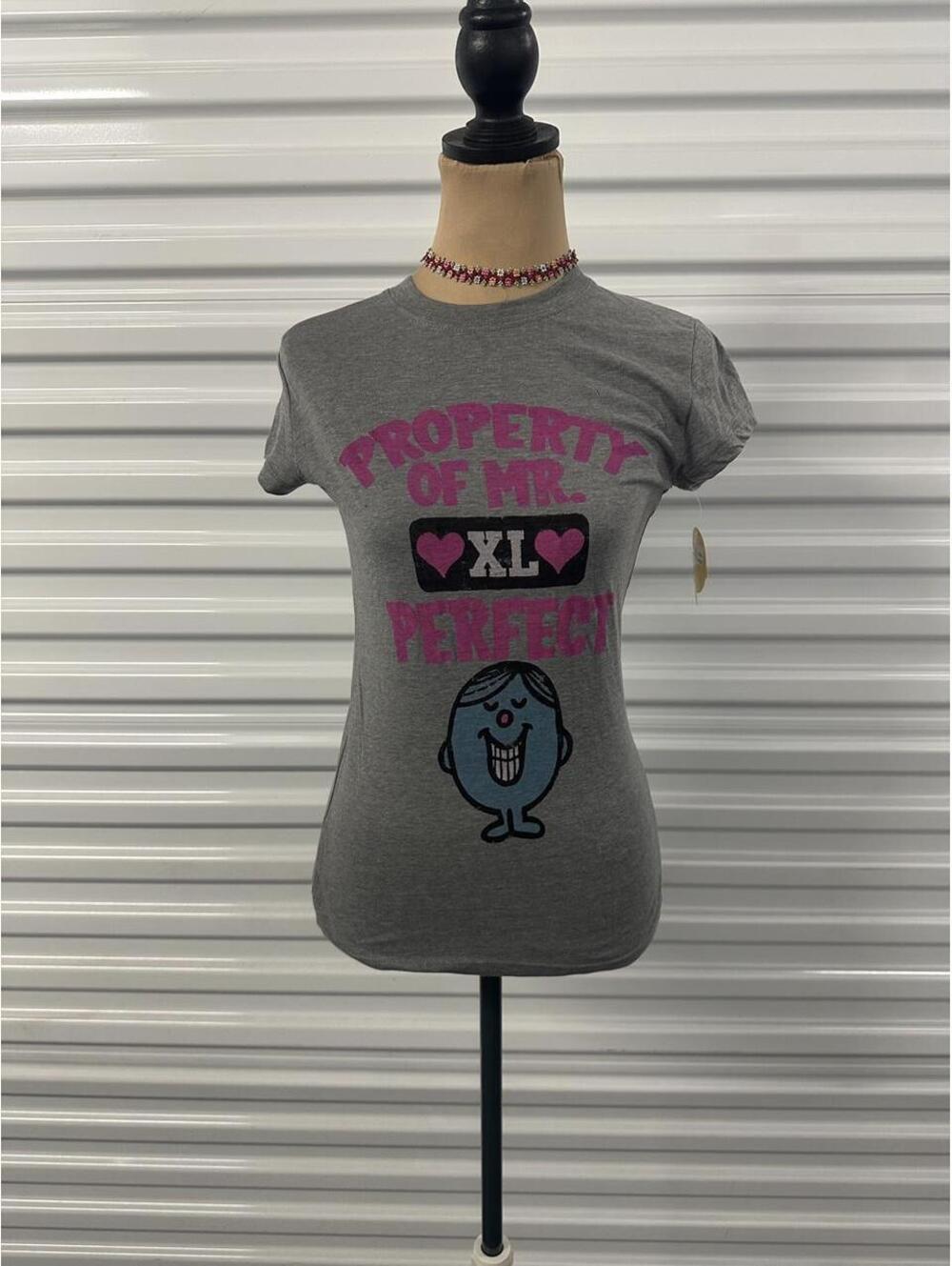 Y2k dead stock Gray property of Mr. Perfect tshirt